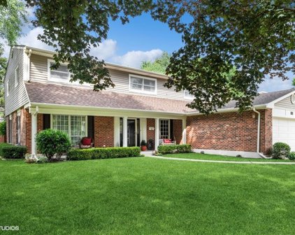 710 W Noyes Street, Arlington Heights