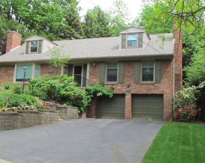 321 Dewey, Edgewood