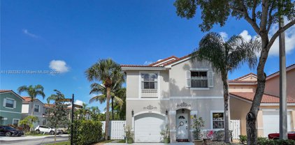 3850 Tree Tops Rd, Cooper City
