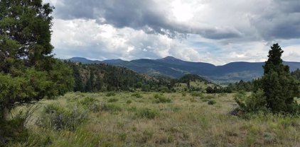 1416 Bear Creek, South Fork