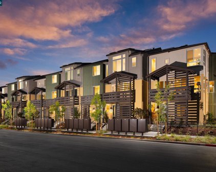 525 Lundy Place, Milpitas