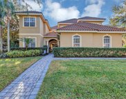11226 Macaw Court, Windermere image