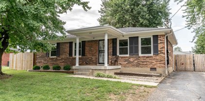 185 California Ave, Mt Washington