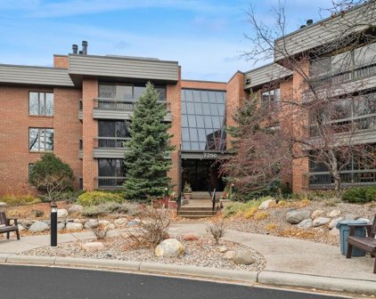7250 Lewis Ridge Parkway Unit #213, Edina