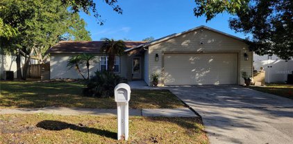 103 Meadowcross Drive, Safety Harbor