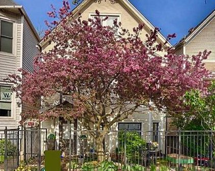3745 N Seminary Avenue Unit #1, Chicago