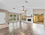 9 Briervine Court, The Woodlands image