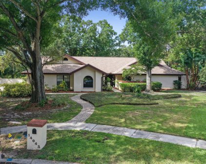 14043 Shady Shores Drive, Tampa
