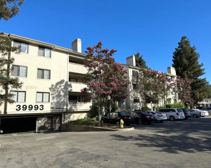 39993 Fremont Boulevard Unit 103, Fremont