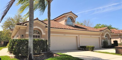 3870 Timber Ridge Court, Palm Harbor