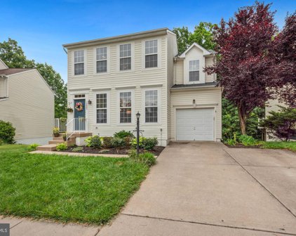 14005 Hawkeye Run Ct, Bristow