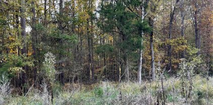 11600 Widenhouse  Road, Midland