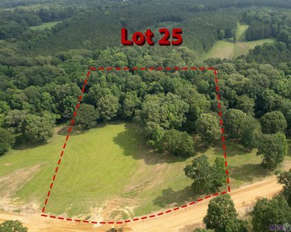 Lot 25 Rosemary Rd, St Francisville