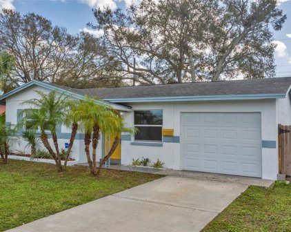 5224 102nd Avenue N, Pinellas Park