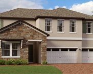 22126 Tucana Way, Land O' Lakes image
