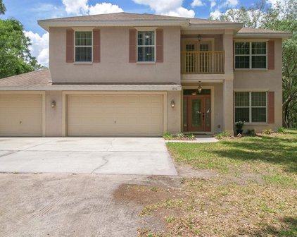 1256 Lake Helen Osteen Road, Lake Helen
