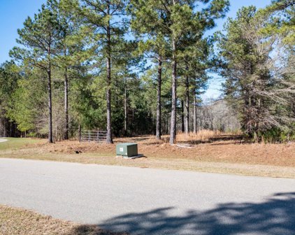 1120 Sunset Cove, Tignall