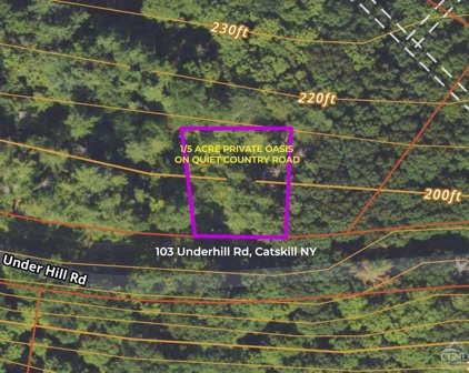 103 Underhill Road, Catskill