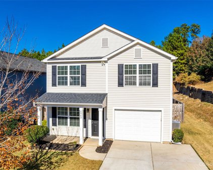 6043 Benedict  Place, Indian Land