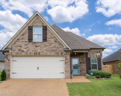 7924 Silverbell Street, Southaven