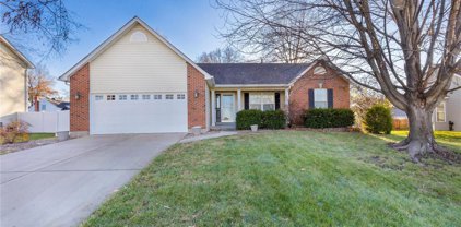 1917 Royal Heir  Drive, O'Fallon