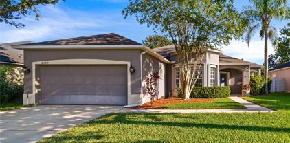 2600 Barnswallow Lane, Oviedo