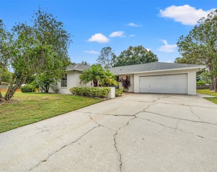 22360 Southshore Drive, Land O' Lakes