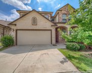 17123 Moscato, San Antonio image