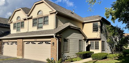 3241 N Daniels Court, Arlington Heights