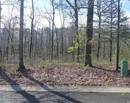 Lot 4 ROSE CREEK Court, Hot Springs