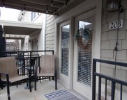 3825 Cherokee Woods Way Unit 203, Knoxville image