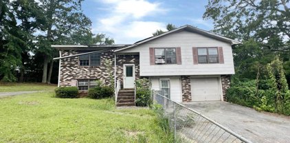 1001 Miss Annies Drive, Jacksonville
