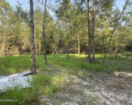 26004 Bowfin Drive, Perkinston