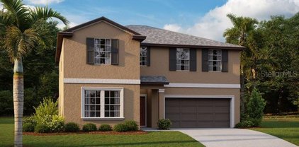 15334 Sapphire Purple Street, Wimauma