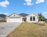 303 Daisy  Lane, Robinson image