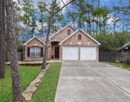 71 N Crossed Birch Place, The Woodlands image