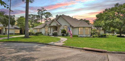 25007 E Manor Circle, Spring