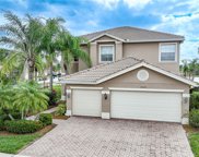 10316 Carolina Willow Drive, Fort Myers image