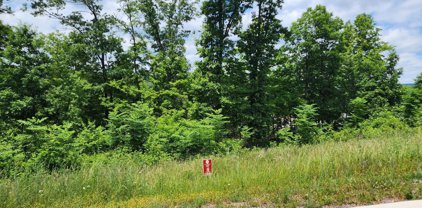 229 Lot 4 Redstone Ter, Frostburg
