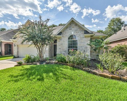 83 S Dylanshire Circle, Conroe