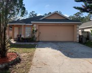 2146 Fish Eagle Street, Clermont image