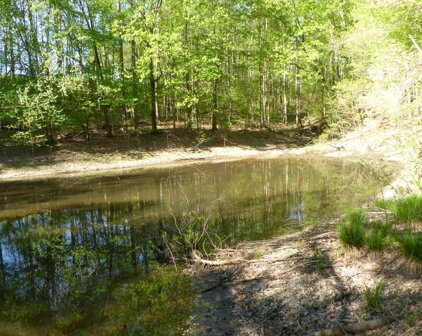 TRACT 9 Dusty  Ln, Martinsville