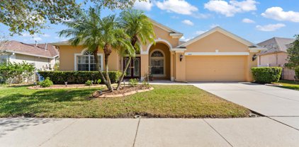 8225 Swann Hollow Drive, Tampa