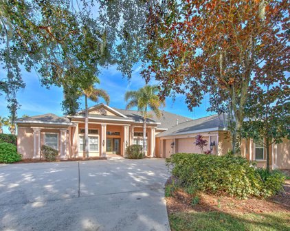 5517 Winding Brook Lane, Valrico