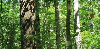 12452 Ridge Rd, Lusby