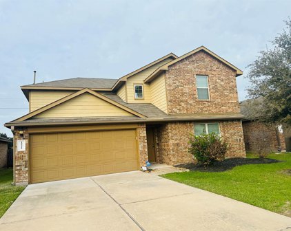 18222 Trace Pointe Lane, Richmond