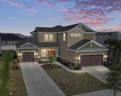 6967 Talamore Drive, Wesley Chapel