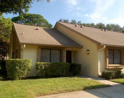 2585 Bay Berry Drive Unit 43A, Clearwater