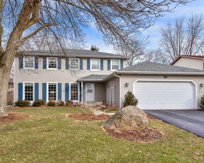 717 Zaininger Avenue, Naperville