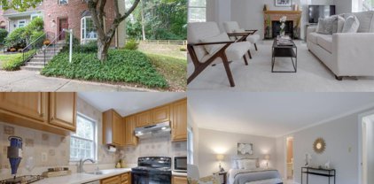 10116 Walnut Wood Ct, Burke